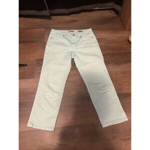 Nine West Vintage America Boho Women’s  Jeans (28/6) (Mint Color)